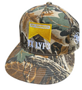 The 100’s